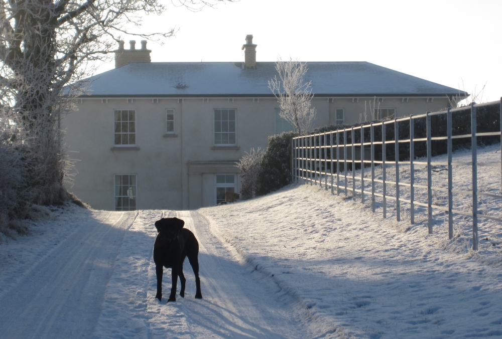 Traditionally_Inspired_Country_House_07 Traditionally_Inspired_Country_House_07