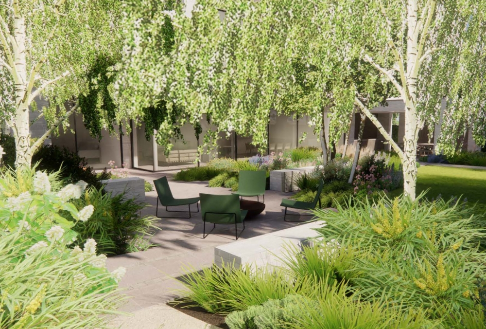 Modern Home with Curated Garden