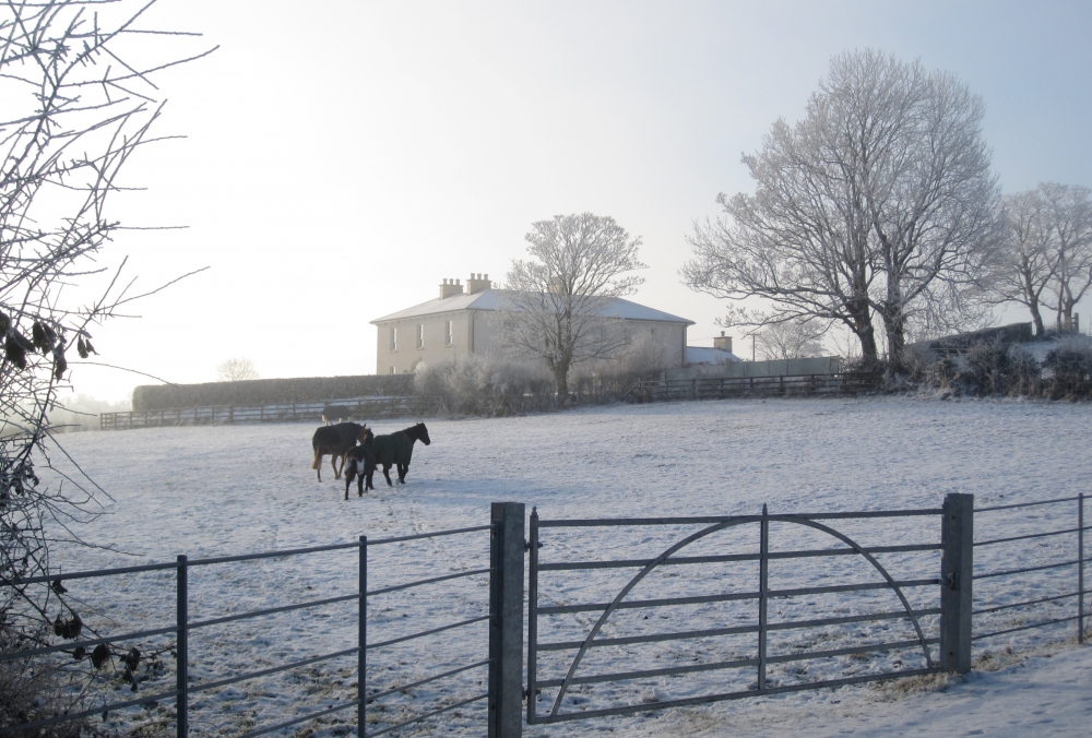 A Frosty Morning at This Neo-Georgian Country House