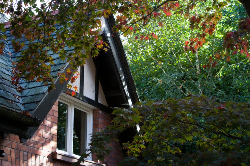 restoration_of_edwardian_home_30 restoration_of_edwardian_home_30