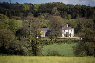 New Home Set in Extensive Landscaping & Wetlands