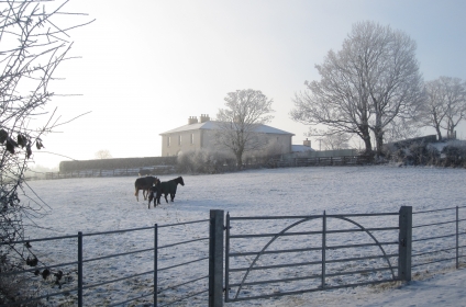 A frosty morning at this Neo-Georgian country house set in an idyllic Irish landscape